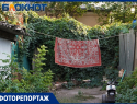 Экзотика Таганрога - ЖАКТовские дворики в нашем фоторепортаже