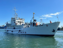 В Азовском море пересчитают всю рыбу и оценят промысловые виды 