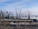 Работники Таганрогского порта снова предстанут перед судом по делу о мошенничестве