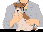  В Таганроге будет проходить бесплатная вакцинация животных от бешенства