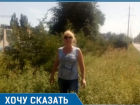 Травой зарос вьезд в Таганрог - на "радость" гостям и туристам