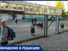 Детей из школы, где обучалась главы города Таганрога И.Титаренко, атакуют стаи собак