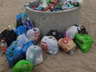  Не дождавшись работы городских властей, таганрожцы стали сами убирать пляжи