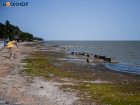 Таганрогский залив не пригоден для купания