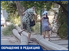 И вновь "временные" трубы постоянно мешают таганрожцам 