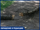 «Благоустройство» приведет «Аллею Славы» в порядок в Таганроге 