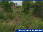Пробираться через леса амброзии приходится таганрожцам в районе 26 магазина