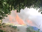 Крупный пожар распространился в районе Богудонии 