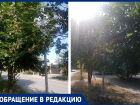 Дорожные знаки в Таганроге теряются в кроне деревьев