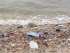 Волонтеры Таганрога почистят Центральный пляж к купальному сезону