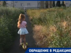 Амброзия выше головы в Северном микрорайоне Таганрога