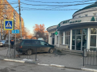 В Таганроге ДТП из-за бездомной собаки 