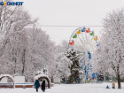  Кругленькую сумму заработает в новогодние праздники директор парка им. Горького
