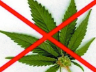 У Таганрожца  изъяли более 225 грамм марихуаны