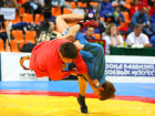 Таганрогские самбисты завоевали 12 медалей на первенстве региона
