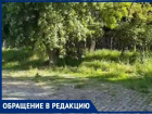 Жители снова жалуются на траву по колено на Пушкинской и Чеховской набережной 