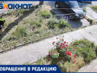 Таганрожцы вынуждены бороться за право облагородить участок перед домом