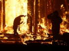 Двое рабочих заживо сгорели во время покрасочных работ в Таганроге