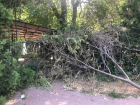 2 недели прошло с момента урагана, а в Таганроге всё валяются деревья