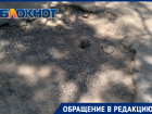 Устали просить о помощи: жители Таганрога пожаловались на асфальт во дворе