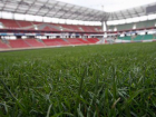 На стадионе "Торпедо" в Таганроге взошла зеленая трава
