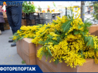 «Все цветы, что только есть…», - цветочный бум в Таганроге