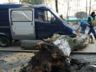 Сухое дерево в Таганроге рухнуло на машину: есть пострадавший