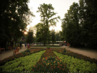 В Таганроге идет своим чередом  озеленение улиц и парков