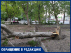В Таганрогских Дубках рухнуло дерево: жители считают, что это не последнее аварийное растение