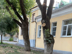 Таганроженка показала свой "туристический маршрут": мимо Дворца Александра, через помойки и заброшки
