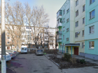 И снова о бездомных собаках: на Пушкинской логово, на Русском поле - стая