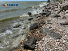 В Таганрогском заливе зафиксировали незначительное отклонение качества воды