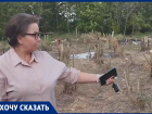 Жители Новобессергеневки просят остановить вырубку лесополосы на границе с Таганрогом 