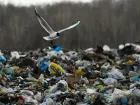 Власти обещают избавиться от таганрогской свалки до конца 2024 года