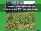 После публикации «Блокнот Таганрог» за траву привлекут МКУ «Благоустройство»