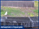 Таганрог и Чехов: связь пообтёрлась — письмо читателя