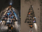 Разноцветная «АвтоЕлка» замигала яркими огоньками в Таганроге
