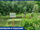 Замглавы Таганрога Долматов запретил…дубкам расти в “Дубках”