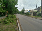 Таганрогские службы дерево с дороги убрали, а на тротуаре оставили