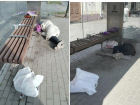 Уютную квартиру устроил себе бомж на остановке в центре Таганрога