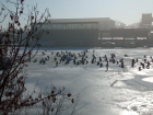 Десятки рыбаков в пятницу собрались в Таганроге на льду