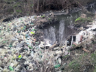 В Таганроге администрация установила мусорный бак на берегу реки: что из этого вышло 