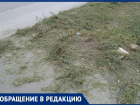 «Помяли и не убрали» - таганроженка показала, как косят траву в Таганроге