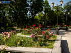 В Таганроге планируют высадить более 86 тысяч цветов 