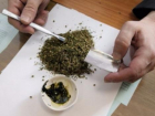 У таганрожца изъяли 17 грамм марихуаны 