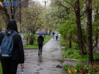Ухудшение погоды прогнозируют в Ростовской области