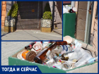Таганрожцы возмутились клумбами, которые превратили в мусорки... Администрация сказала, что так и должно быть