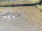 И вновь бежит поток питьевой воды по улице Дзержинского в Таганроге