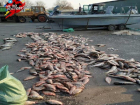 В Таганрогском заливе поймали браконьеров с уловом на 750 тысяч рублей