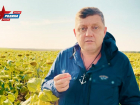 «Верните рынки сбыта!»: Олег Пахолков потребовал спасти сельское хозяйство запретом крупных торговых сетей
